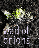 wad of onions